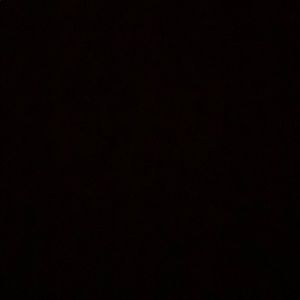 Meet your Posher, Trace